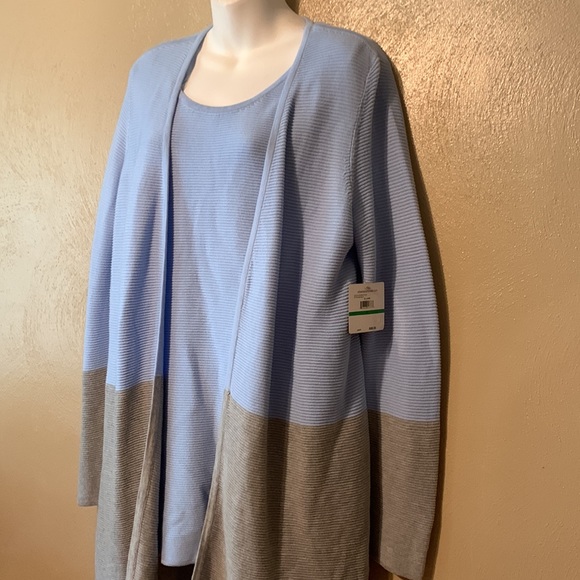 Rafaella 2-pc Matching sweater set blue gray - Picture 2 of 14